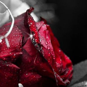 Meet your Posher, Kieristan